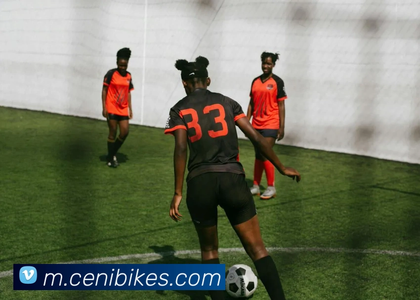 奖项证书